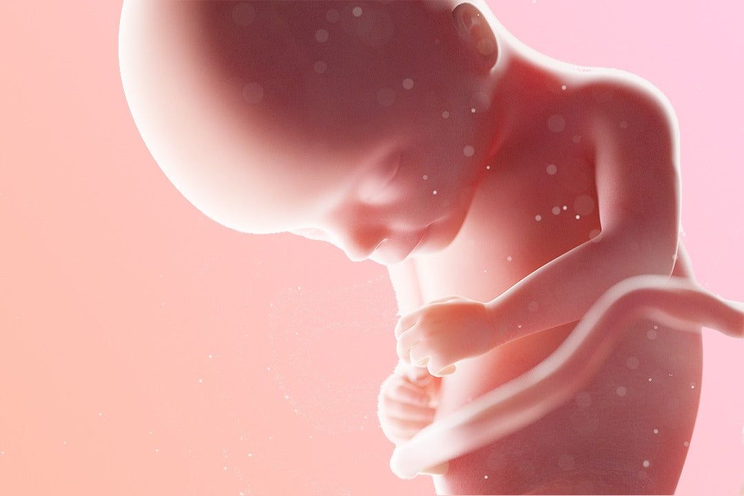 https://9thang10ngay.net/uploads/17_eme_semaine_d_amenorrhee_un_foetus_plus_fort_d67c15751b.jpg