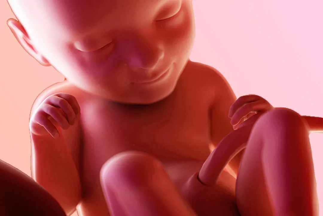 https://9thang10ngay.net/uploads/33_eme_semaine_d_amenorrhee_une_prematurite_moyenne_en_cas_de_naissance_jpg_dddc12dda6.webp