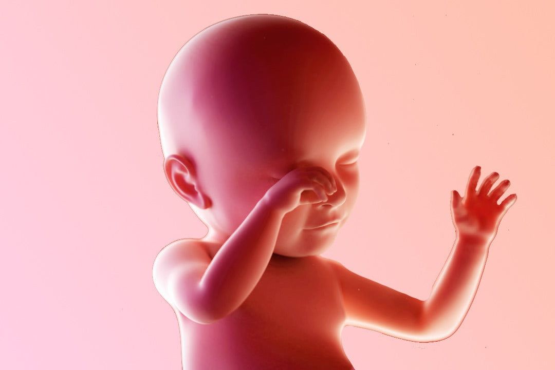 https://9thang10ngay.net/uploads/39_eme_semaine_d_amenorrhee_mon_bebe_bouge_t_il_toujours_bien_1d82c3f65f.jpg