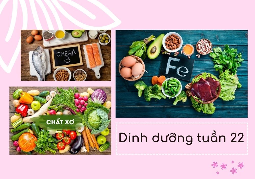 dinh dưỡng tuần 22