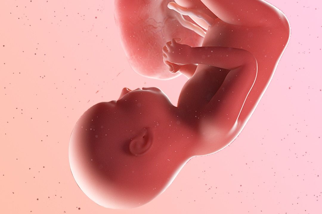 https://9thang10ngay.net/uploads/efelya_blog_prod_38_weeks_pregnancy_b3eb2307_2780_4064_969c_b9343bbb73c4_846b3b8b4f.jpg