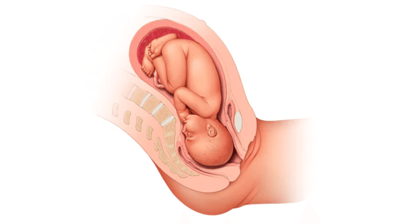 https://9thang10ngay.net/uploads/image_32_d035fa2648.png