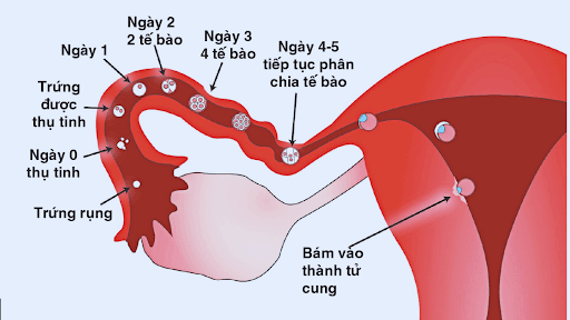 https://9thang10ngay.net/uploads/unnamed_8_38602d561d.png