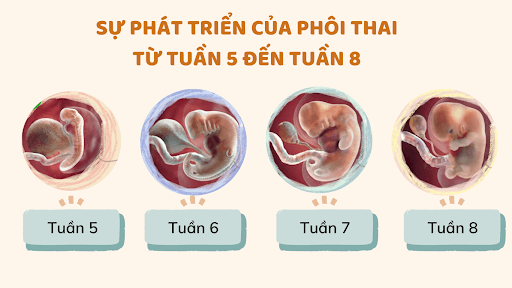 https://9thang10ngay.net/uploads/unnamed_9_2147b660ca.png